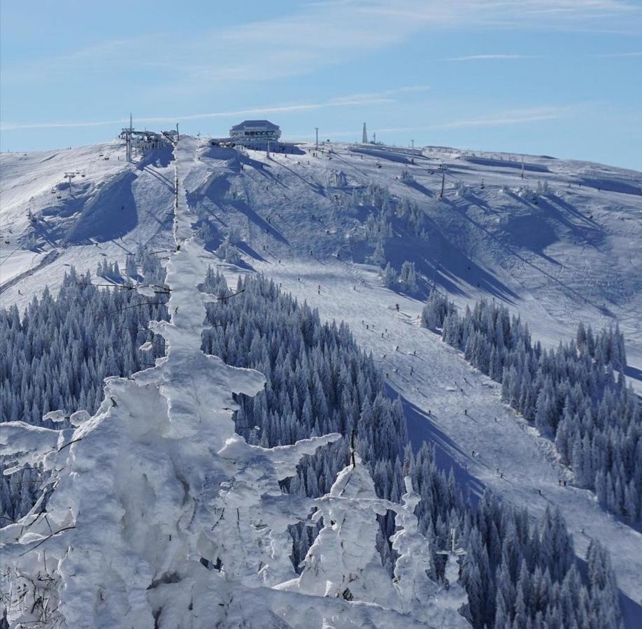 Megi Apartman - Konaci Maglic Kopaonik Exterior photo