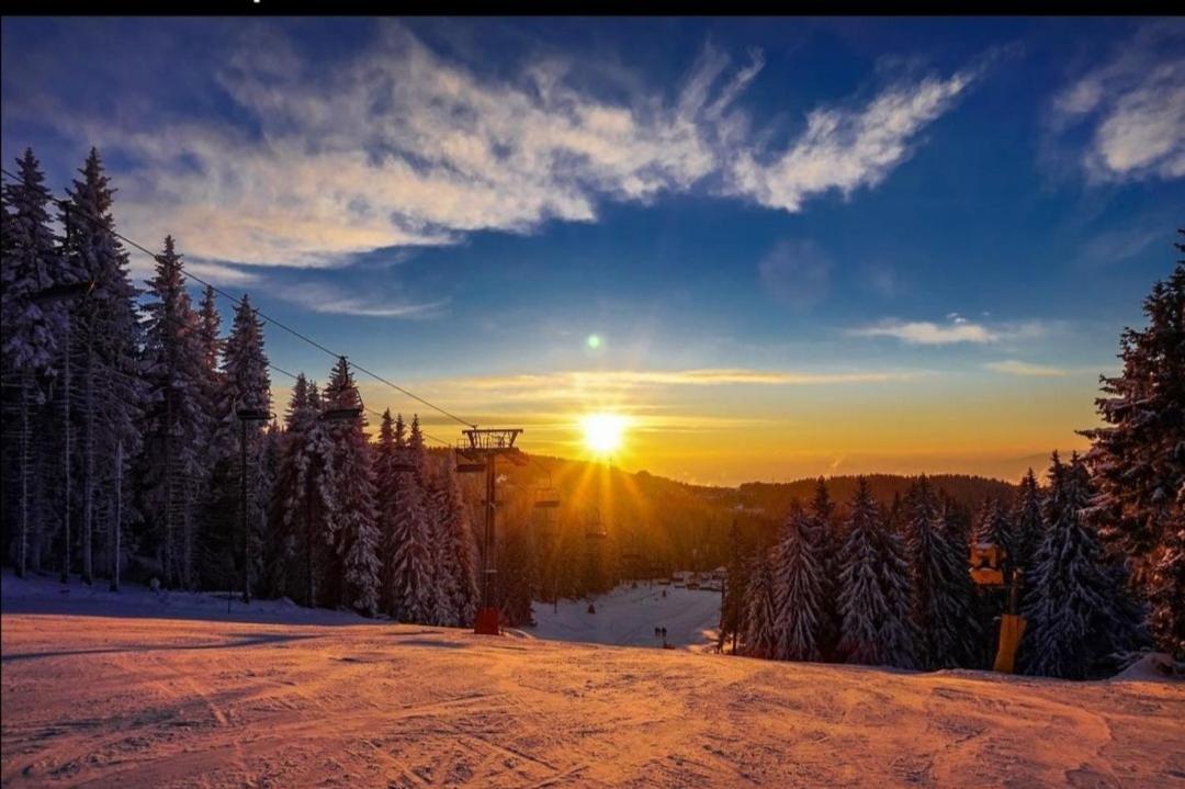 Megi Apartman - Konaci Maglic Kopaonik Exterior photo